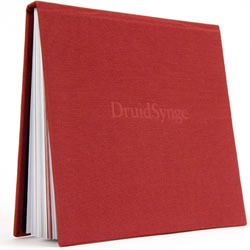 DruidSynge Programme Book
