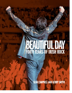 beautiful day cover